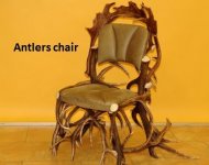 Antlers chair